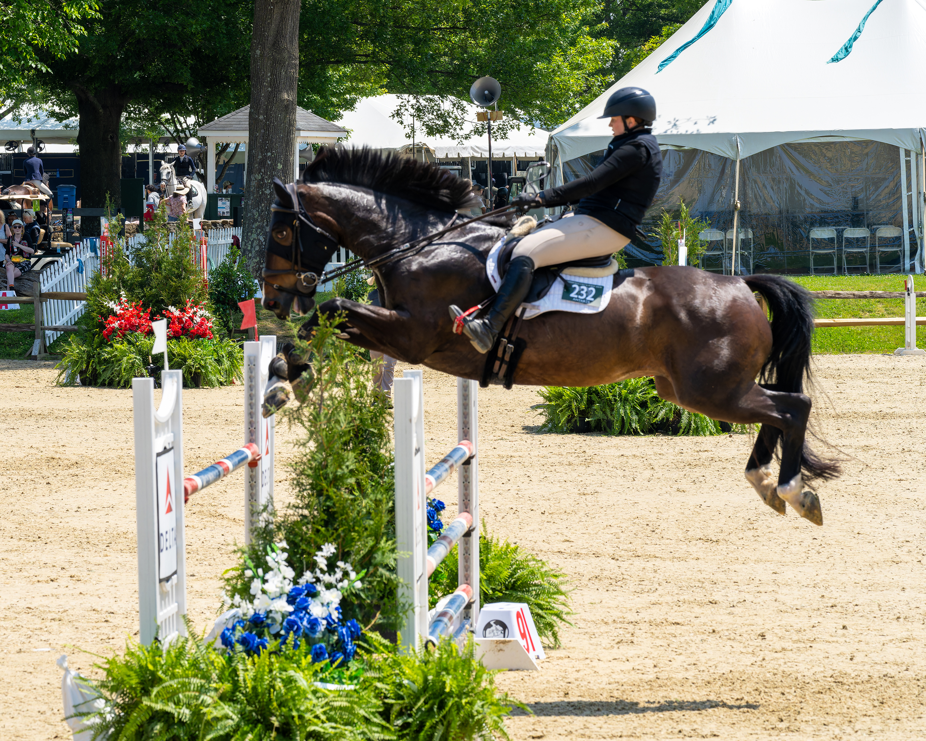 Essenar Crixus ridden by Anna Antrobius